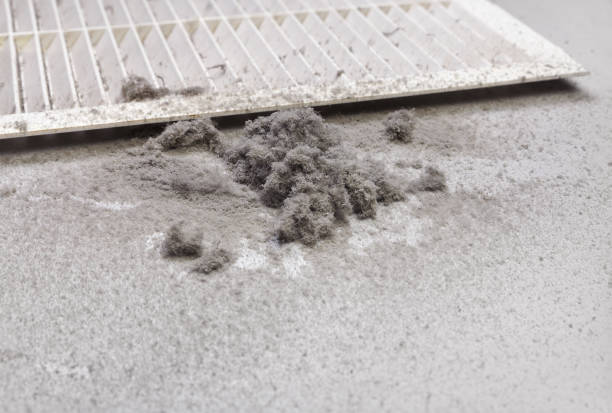 Best Home Air Vent Cleaning  in Cottleville, MO